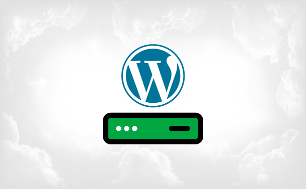 WordPress Websites